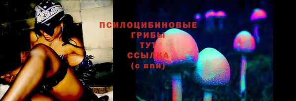 стаф Белоозёрский