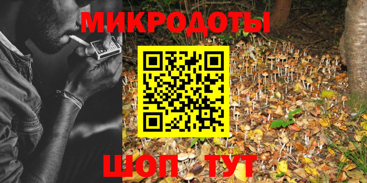 Галлюциногенные грибы Psilocybine cubensis Бузулук