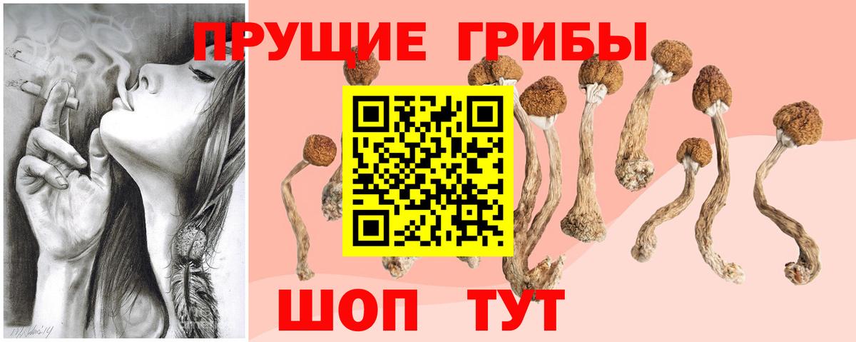 Галлюциногенные грибы мухоморы  Вход с VPN  Галлюциногенные грибы ЛСД  Бузулук 